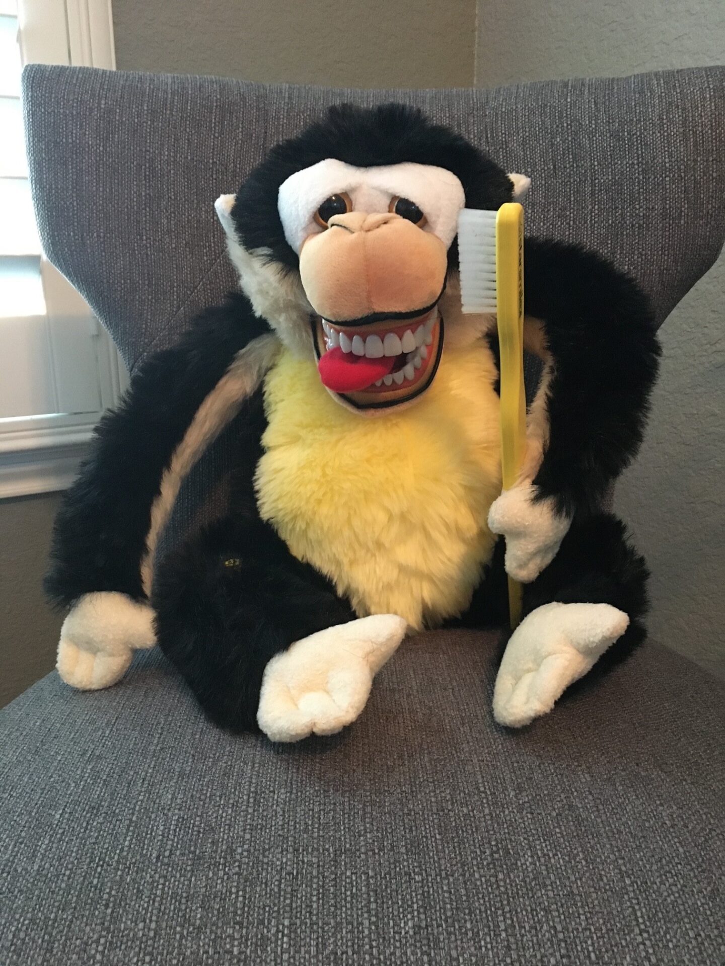 Mojo the Monkey