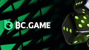 Essential Guide to BC.Game Poland Registration